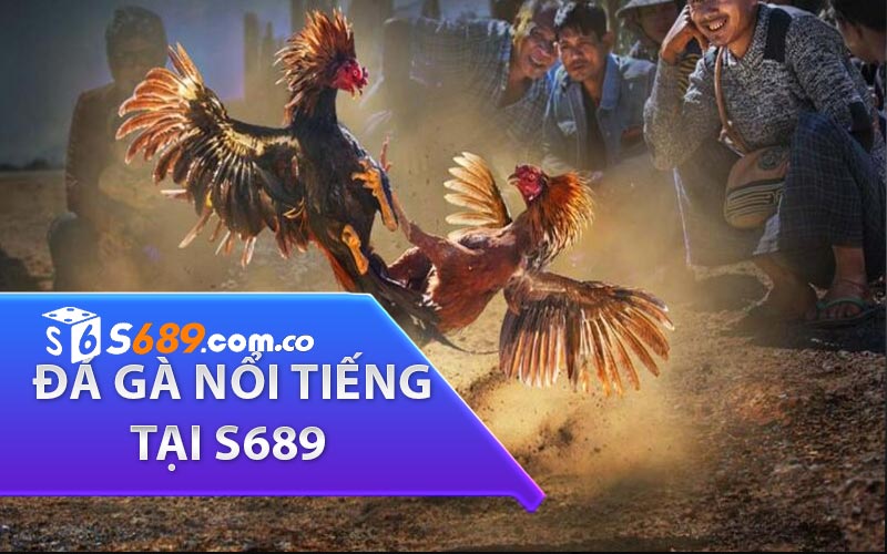  đá gà nổi tiếng tại s689