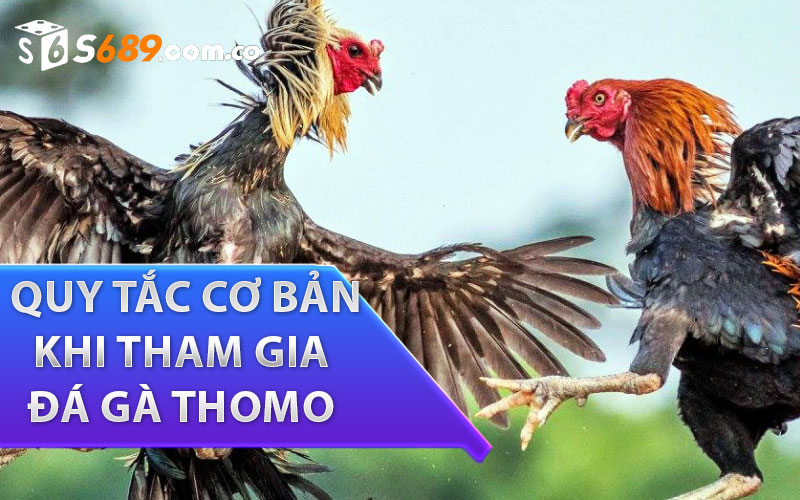 những quy tắc cơ bản khi tham gia đá gà thomo trực tiếp