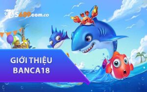 Giới thiệu Banca18